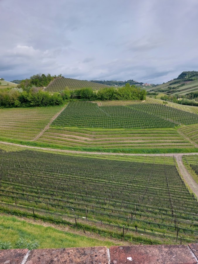 Rotwein & Trüffelgenuss